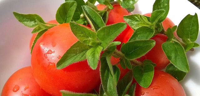 tomatoes-1002158_640.jpg