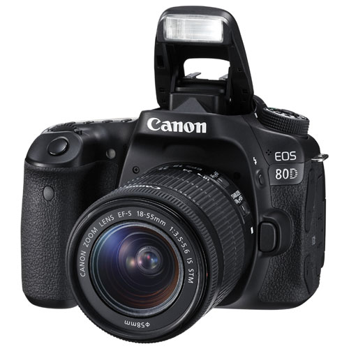 Canon 80D_3.jpg