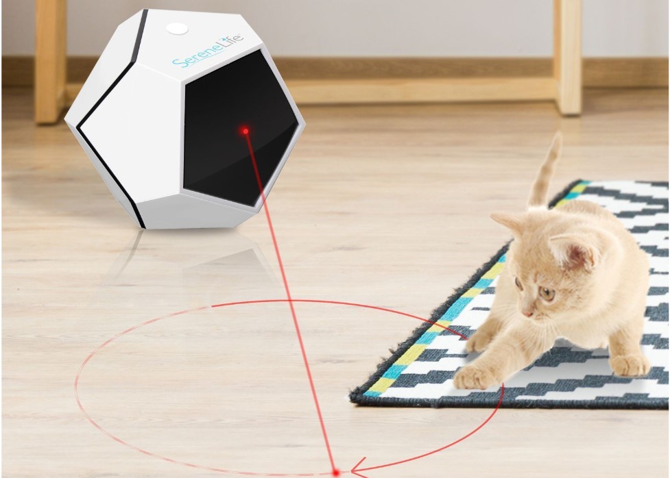 jouet laser automatique avec un chat