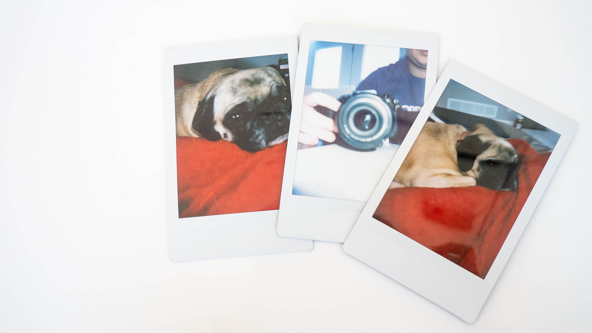 Image of picture take by Instax Mini 12 by Fujifilm