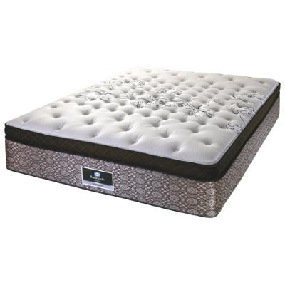 sealy mattress.jpg