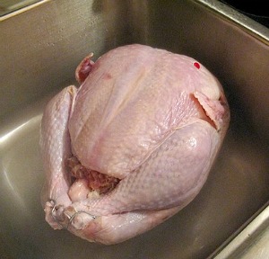 clean turkey.jpg