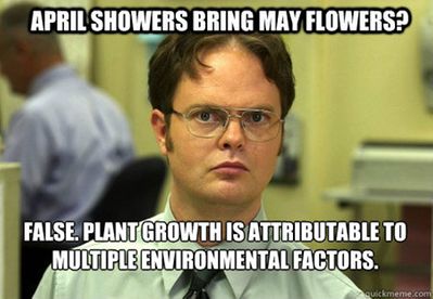 TheOffice_Dwight.jpg