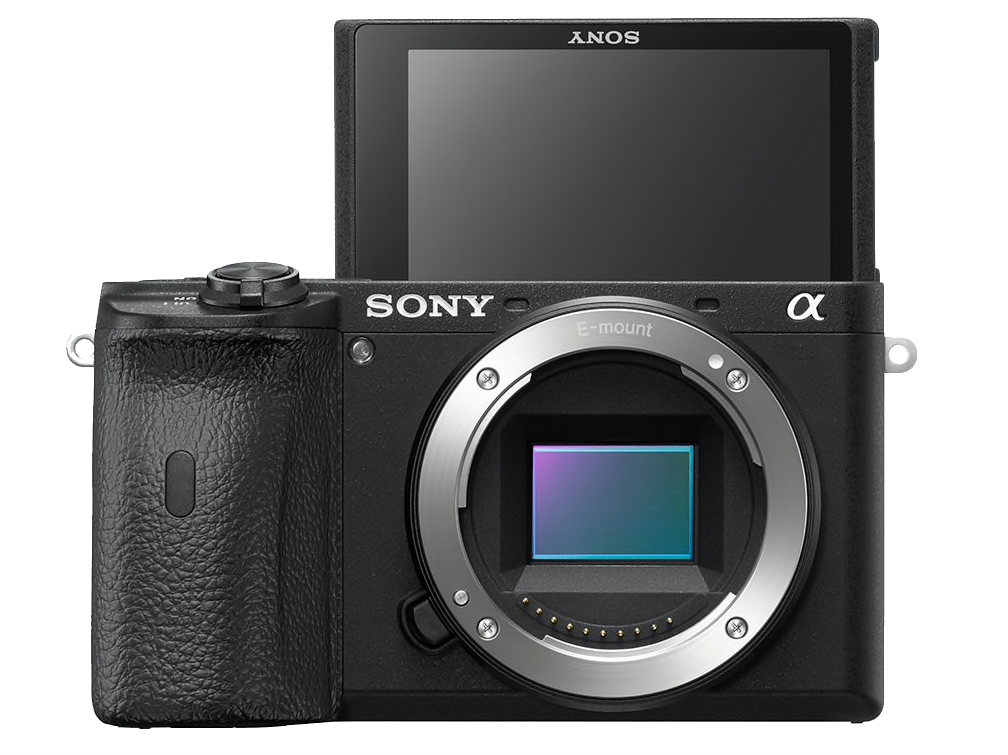 Évaluation de l'appareil photo Alpha 1 de Sony - Blogue Best Buy