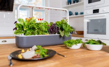 Un avant-goût du printemps avec un jardin intérieur