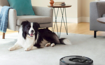 Chien et aspirateur robot sur un tapis