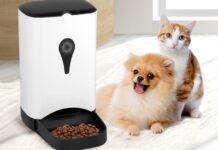 nourriture automatique avec chat et chien