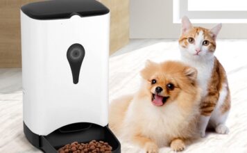 nourriture automatique avec chat et chien
