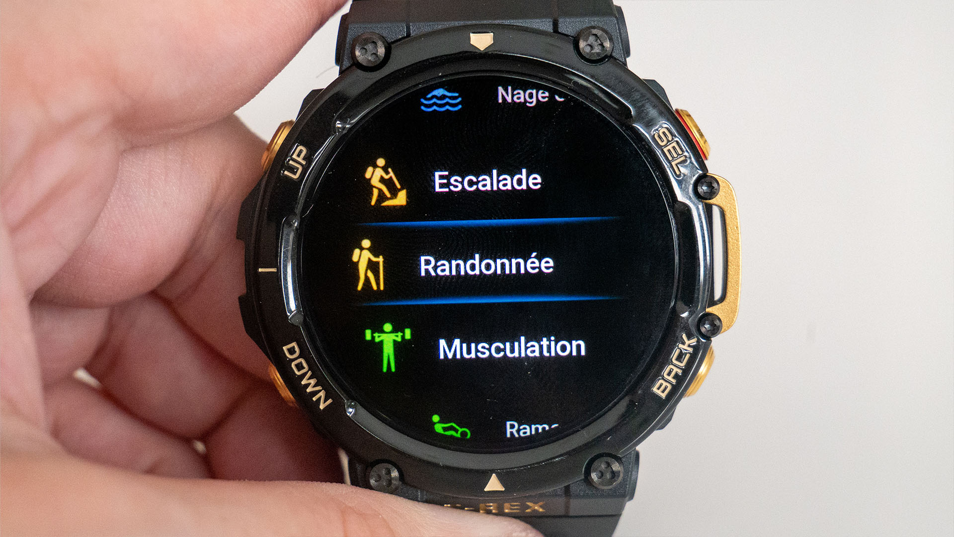 Image of T-Rex 2 watches interface