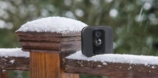 caméra Blink dans la neige