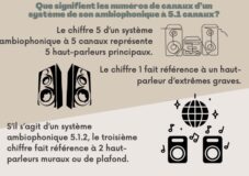 French_infographic_copy