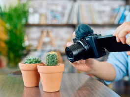 Image of ZV-1-II Camera use with cactus closeup