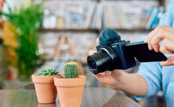 Image of ZV-1-II Camera use with cactus closeup