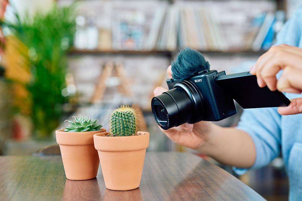 Image of Sony ZV1-II camera use with cactus