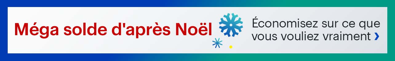 Méga solde d'après Noël Best Buy
