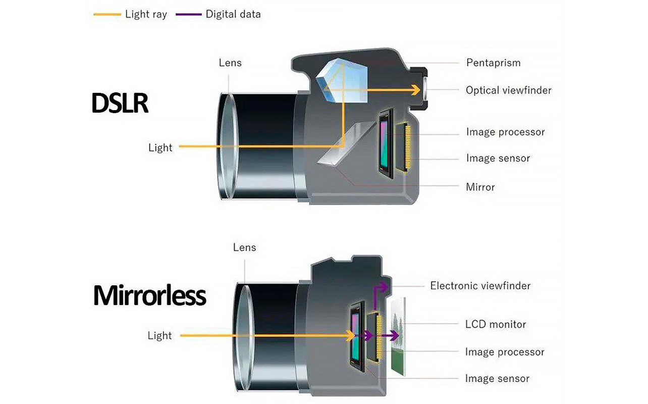 Diagramme montrant les différences mécaniques entre les appareils photo sans miroir et les appareils photo reflex numériques.