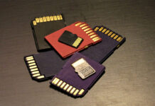 sd card and microSD card