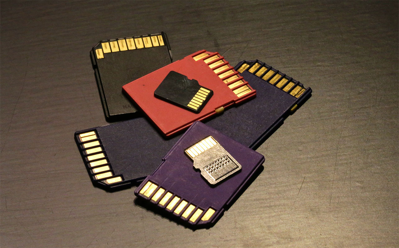 sd card and microSD card