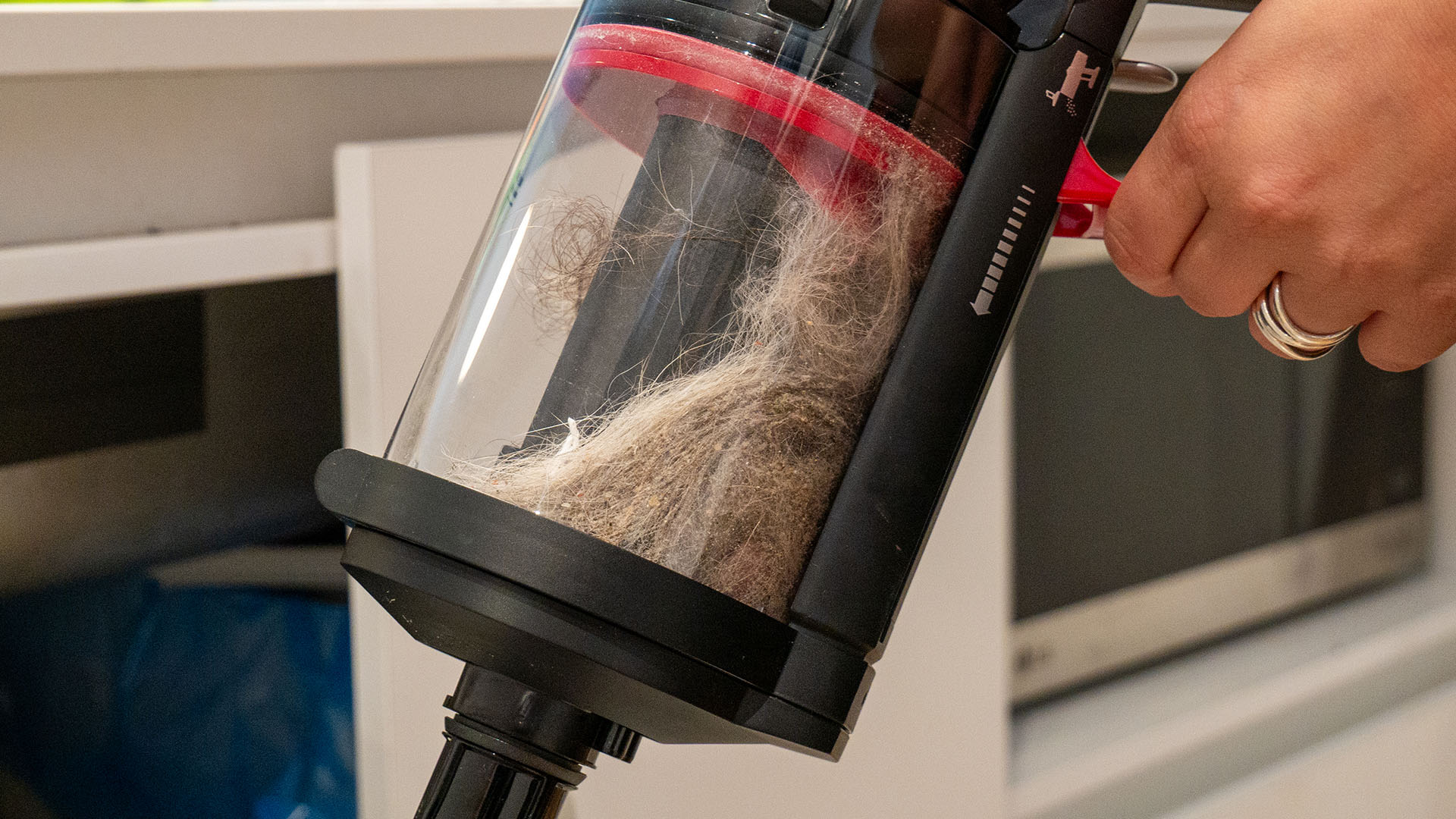 Image de nouveau système Compaktor de l'aspirateur-balai sans fil Piston Animal DS60
