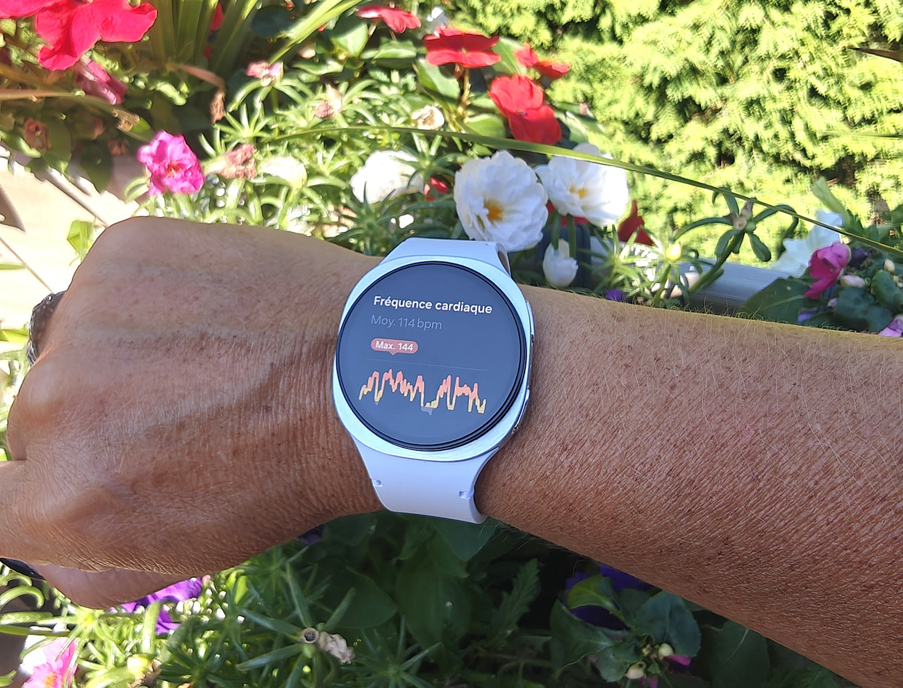écran fréquence cardiaque Samsung Galaxy Watch 8