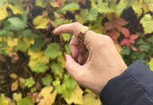 Oura Ring 4 vs Oura Ring 3è génération : quelle est la différence et devriez-vous mettre à niveau? oura ring 4 vs oura ring gen 3