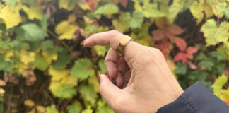 oura ring 4 vs oura ring gen 3