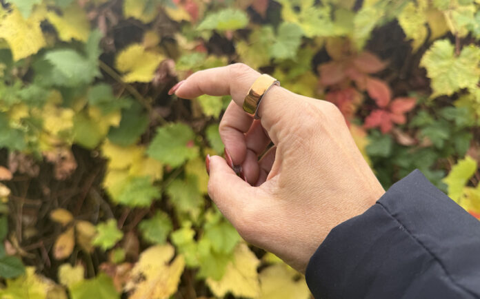 Oura Ring 4 vs Oura Ring 3è génération : différences, améliorations et conseils pour la mise à niveau oura ring 4 vs oura ring gen 3