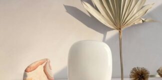 nest wifi vs wifi pro