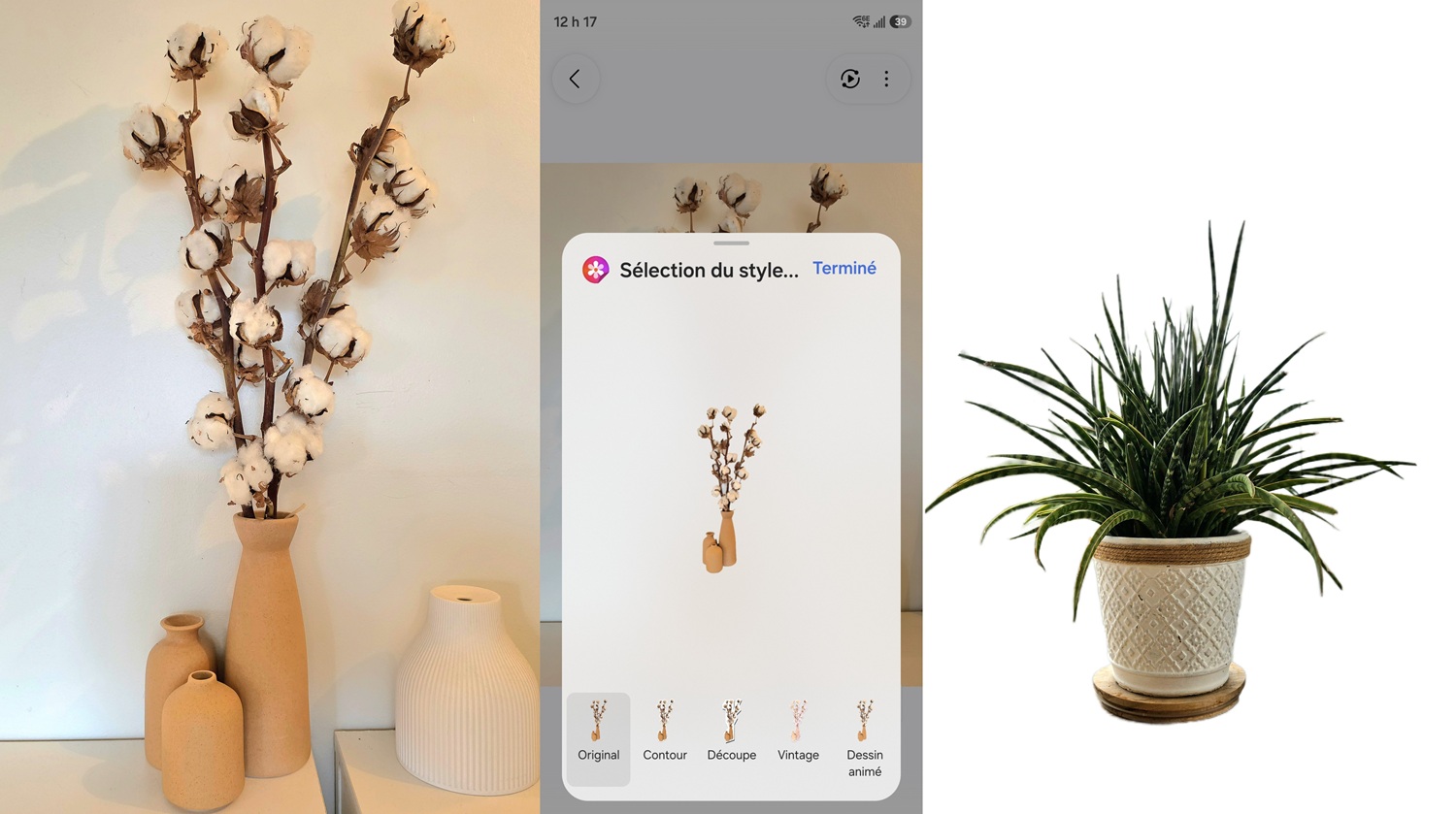 icones et images de plantes prise avec Samsung Galaxy S26 Ultra