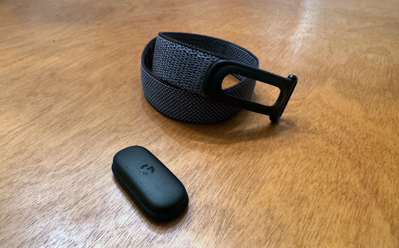 Capteur optique du Google Fitbit Air